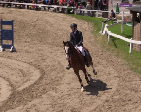 Reitturnier Letmathe 2016