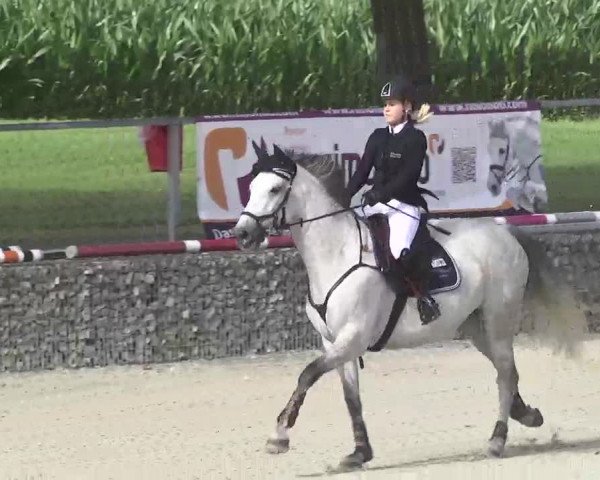 Reitturnier Ingolstadt-Hagau 2016