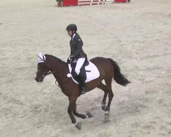 Reitturnier Ingolstadt-Hagau 2016