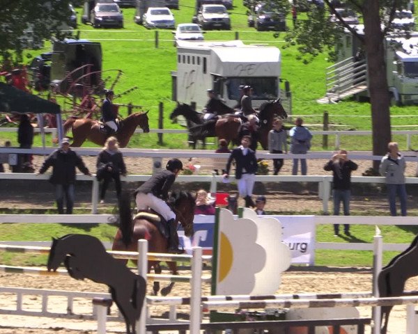 Reitturnier Letmathe 2016
