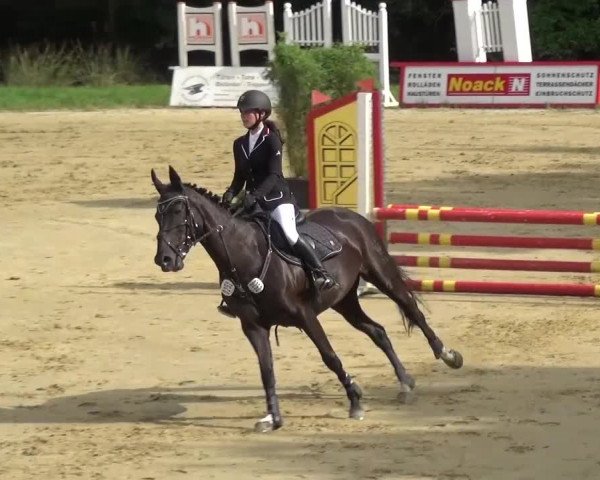 Reitturnier Viersen-Dülken 2016