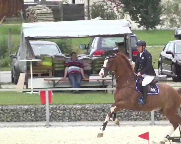 Reitturnier Ingolstadt-Hagau 2016