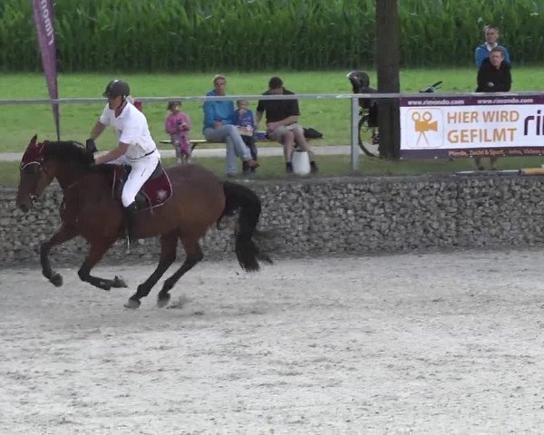 Reitturnier Ingolstadt-Hagau 2016