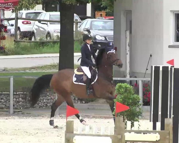 Reitturnier Ingolstadt-Hagau 2016