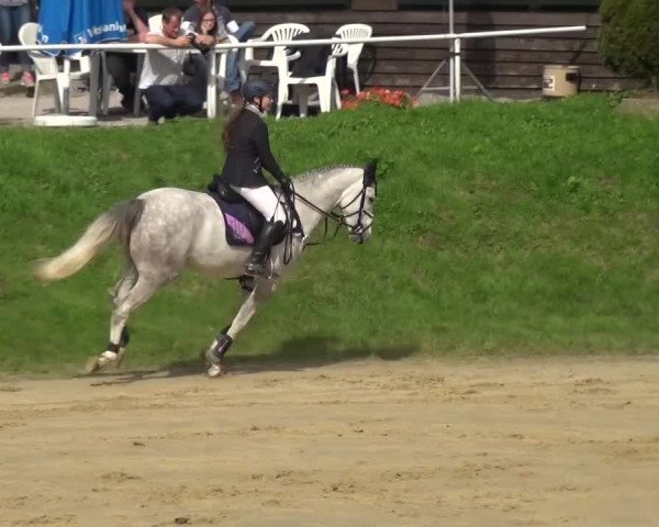 Reitturnier Viersen-Dülken 2016