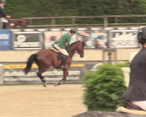 Reitturnier Melle-Ostenfelde 2016