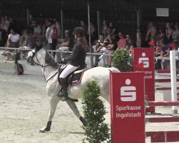 Reitturnier Ingolstadt-Hagau 2016