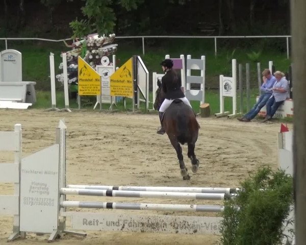 Reitturnier Viersen-Dülken 2016