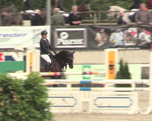 Reitturnier Melle-Ostenfelde 2016