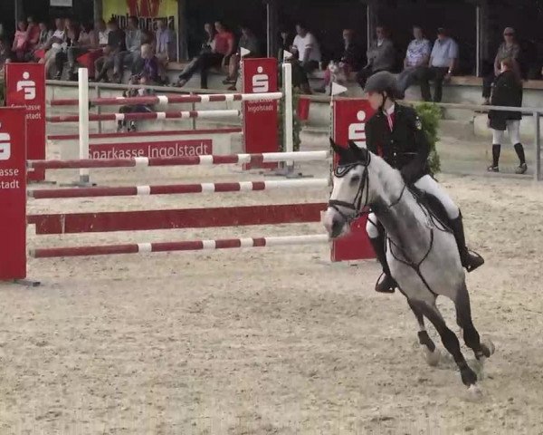 Reitturnier Ingolstadt-Hagau 2016