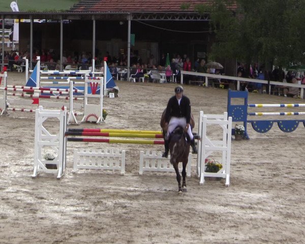 Reitturnier Letmathe 2016
