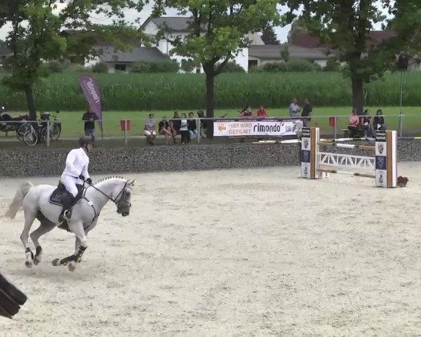 Reitturnier Ingolstadt-Hagau 2016