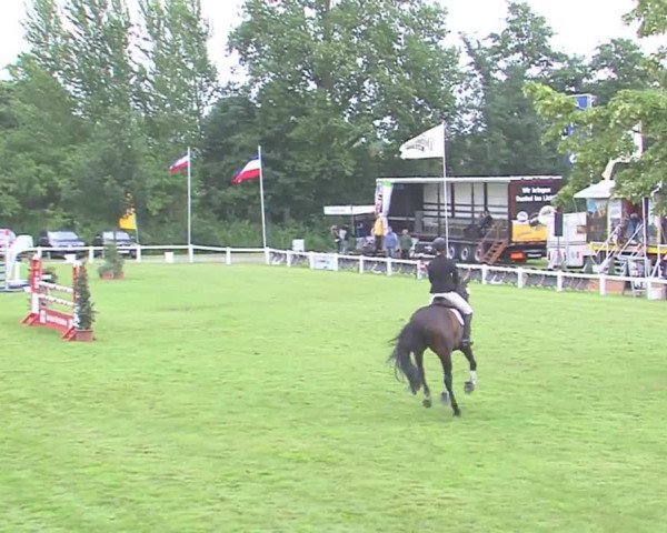 Reitturnier Marne 2016