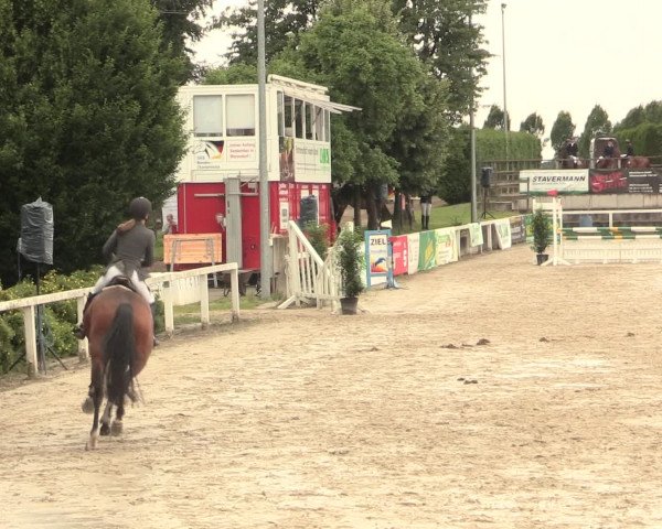 Reitturnier Melle-Ostenfelde 2016