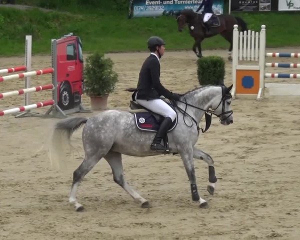 Reitturnier Viersen-Dülken 2016