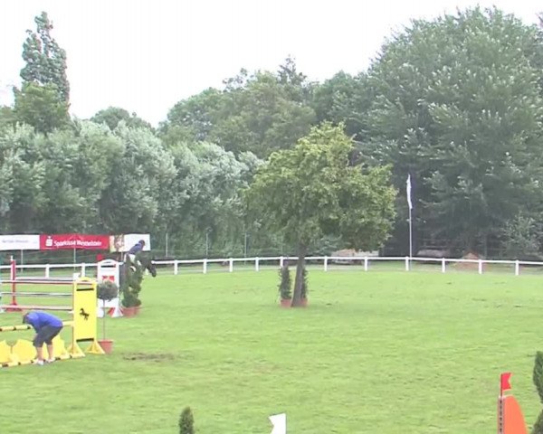 Reitturnier Marne 2016