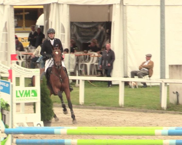 Reitturnier Melle-Ostenfelde 2016