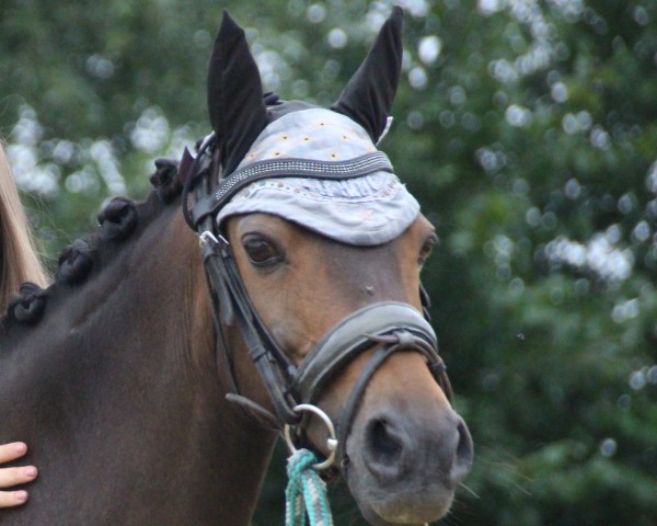 dressage horse Top Balino's Ballerina (Welsh-Pony (Section B), 2008, from Top Balino)