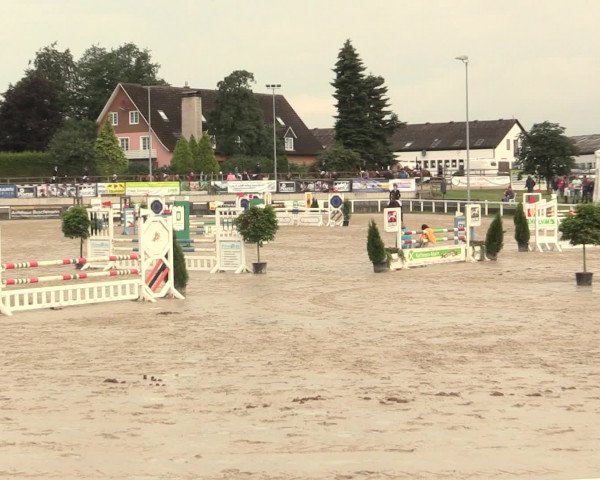 Reitturnier Melle-Ostenfelde 2016