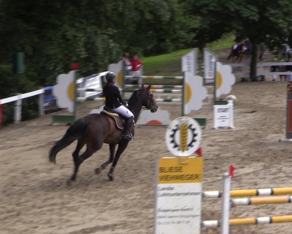 Reitturnier Letmathe 2016