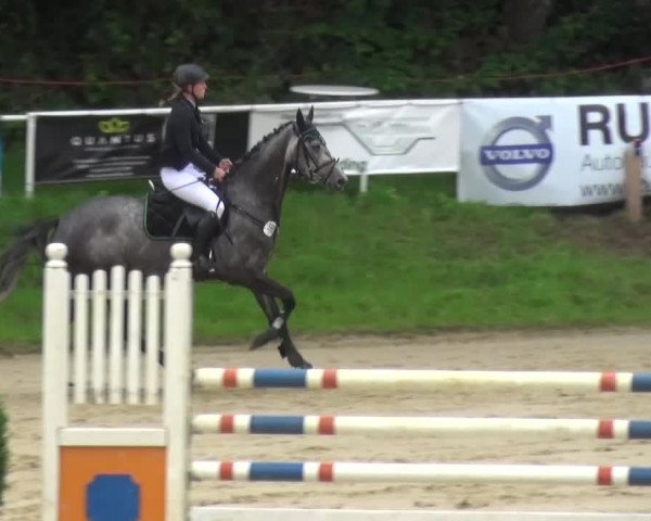 Reitturnier Viersen-Dülken 2016