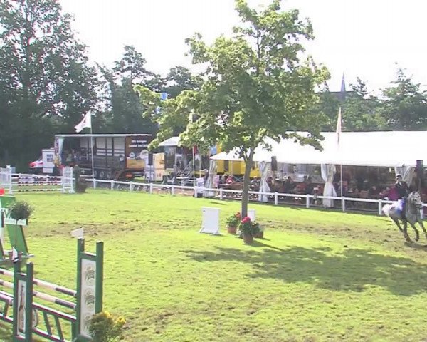Reitturnier Marne 2016