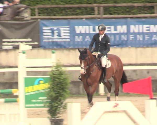 Reitturnier Melle-Ostenfelde 2016