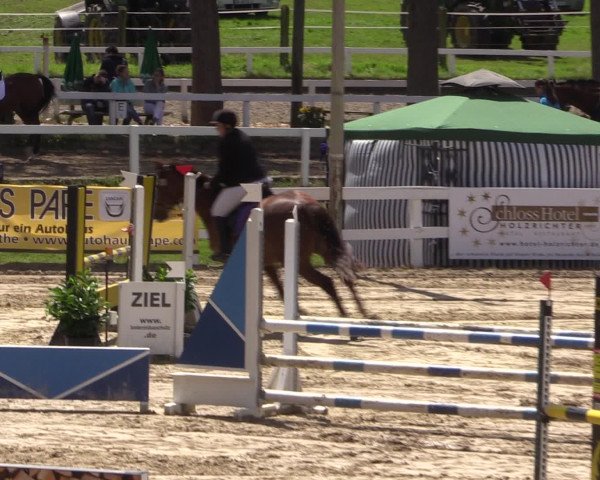 Reitturnier Letmathe 2016