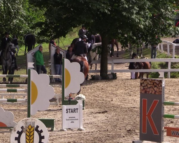 Reitturnier Letmathe 2016