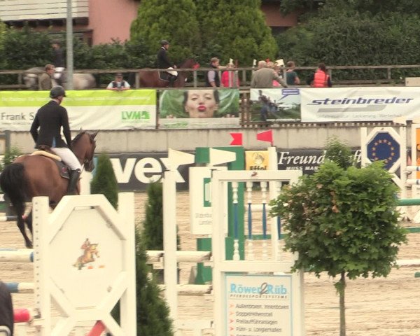 Reitturnier Melle-Ostenfelde 2016