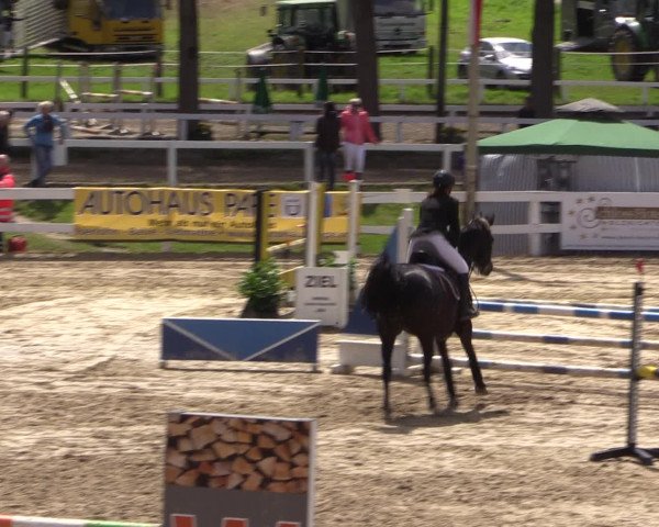 Reitturnier Letmathe 2016