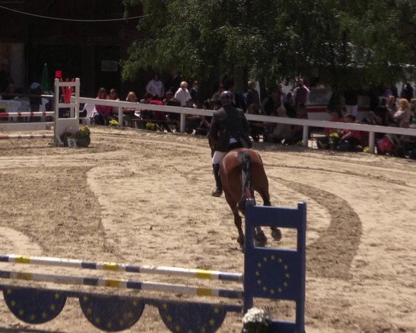 Reitturnier Letmathe 2016