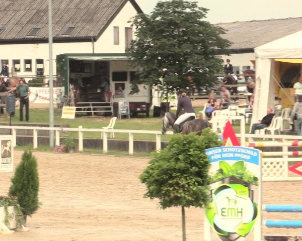 Reitturnier Melle-Ostenfelde 2016