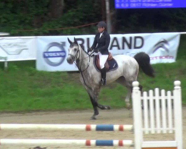 Reitturnier Viersen-Dülken 2016