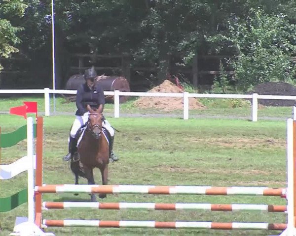Reitturnier Marne 2016
