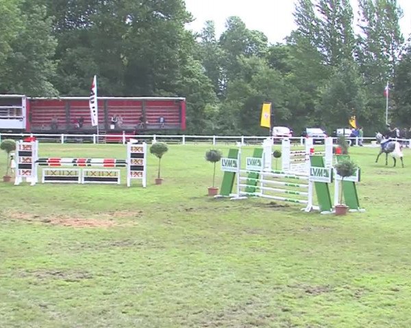 Reitturnier Marne 2016