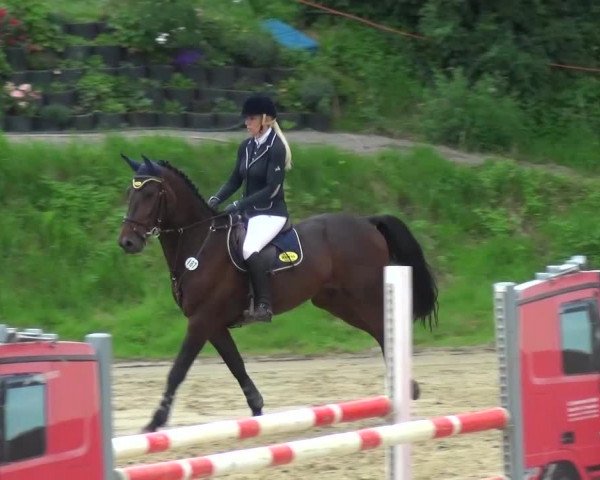 Reitturnier Viersen-Dülken 2016