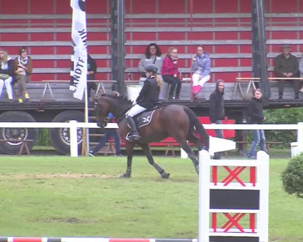 Reitturnier Marne 2016