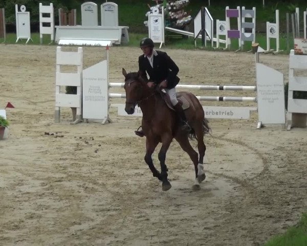 Reitturnier Viersen-Dülken 2016