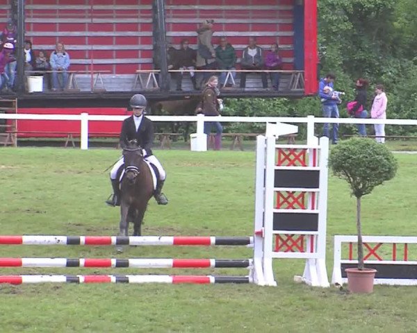 Reitturnier Marne 2016