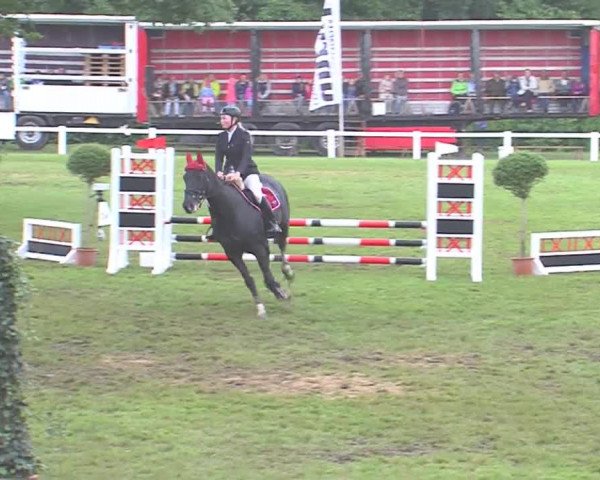 Reitturnier Marne 2016