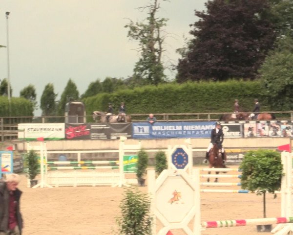 Reitturnier Melle-Ostenfelde 2016