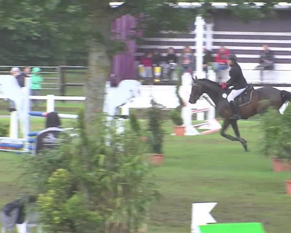 Reitturnier Marne 2016