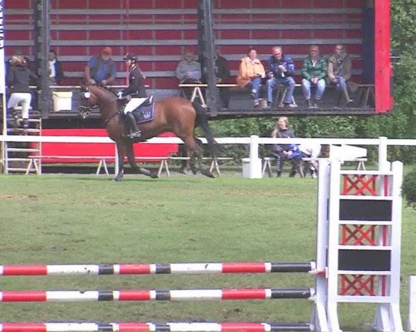 Reitturnier Marne 2016