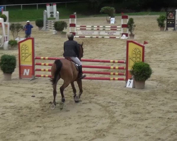 Reitturnier Viersen-Dülken 2016
