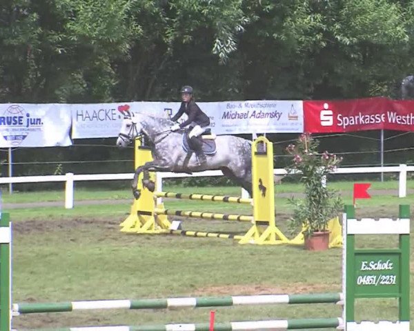 Reitturnier Marne 2016