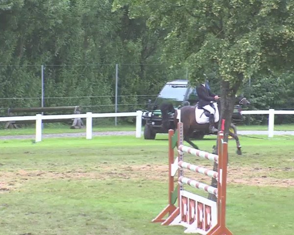 Reitturnier Marne 2016
