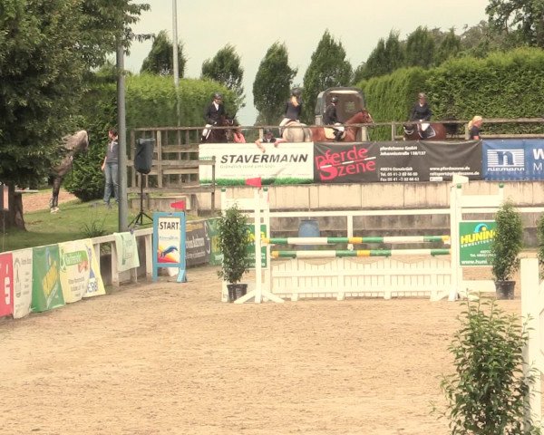 Reitturnier Melle-Ostenfelde 2016