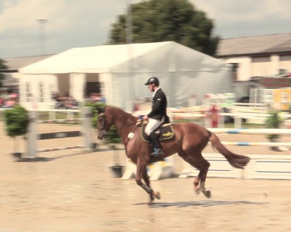 Reitturnier Melle-Ostenfelde 2016