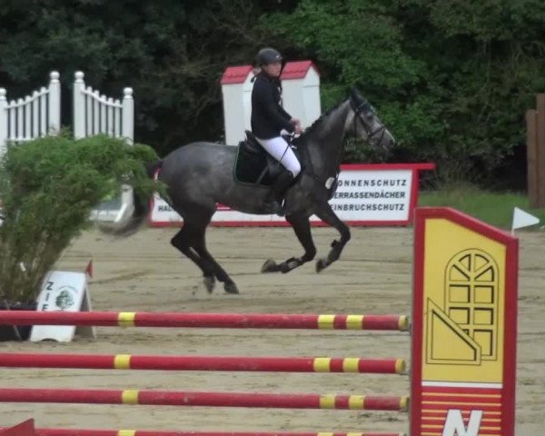 Reitturnier Viersen-Dülken 2016
